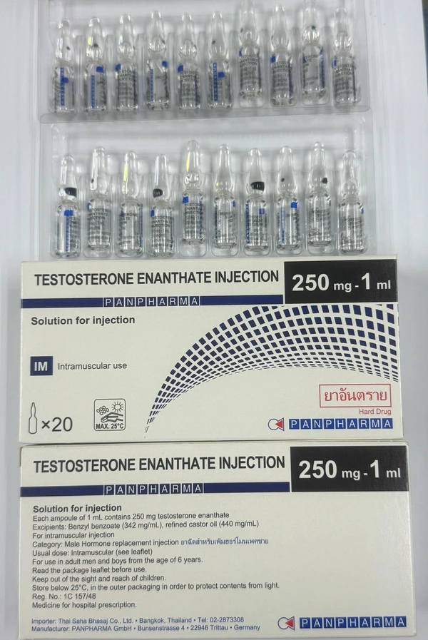 test_enanthate_panpharma injectable testosterone for sale | Test Enanthate Pan Pharma